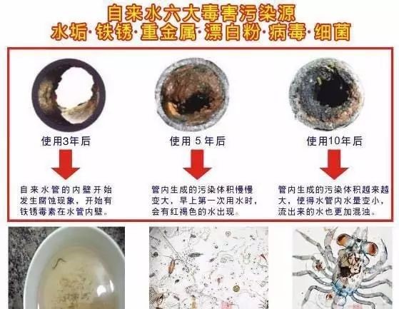 定期清洗水管——花小錢，買大健康