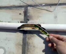 PPR塑料水管難道不用清洗嗎？如何正確清洗塑料